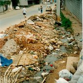 deposicao_irregular_diadema