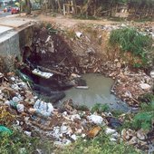 deposicao_irregular_guarulhos_05