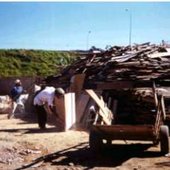 madeira_triagem_att
