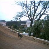 recicladora_att_base_sp_6